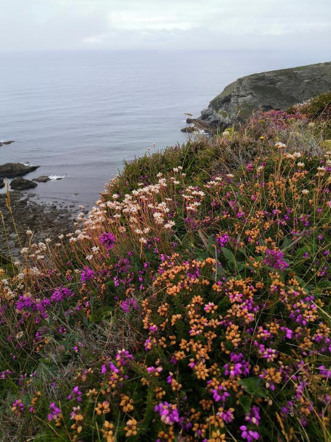 Captivating Isolde Cottage With Pool Near St Ives Camborne Εξωτερικό φωτογραφία