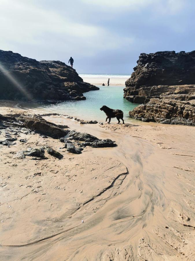 Captivating Isolde Cottage With Pool Near St Ives Camborne Εξωτερικό φωτογραφία